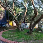Aparthotel By The With Pool And Lounge Beds - Miral Supetarska Draga