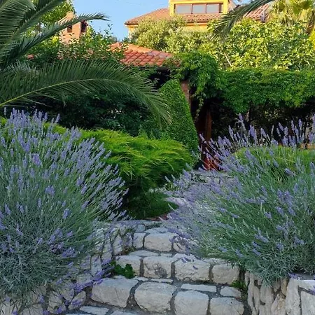 By The With Pool And Lounge Beds - Miral